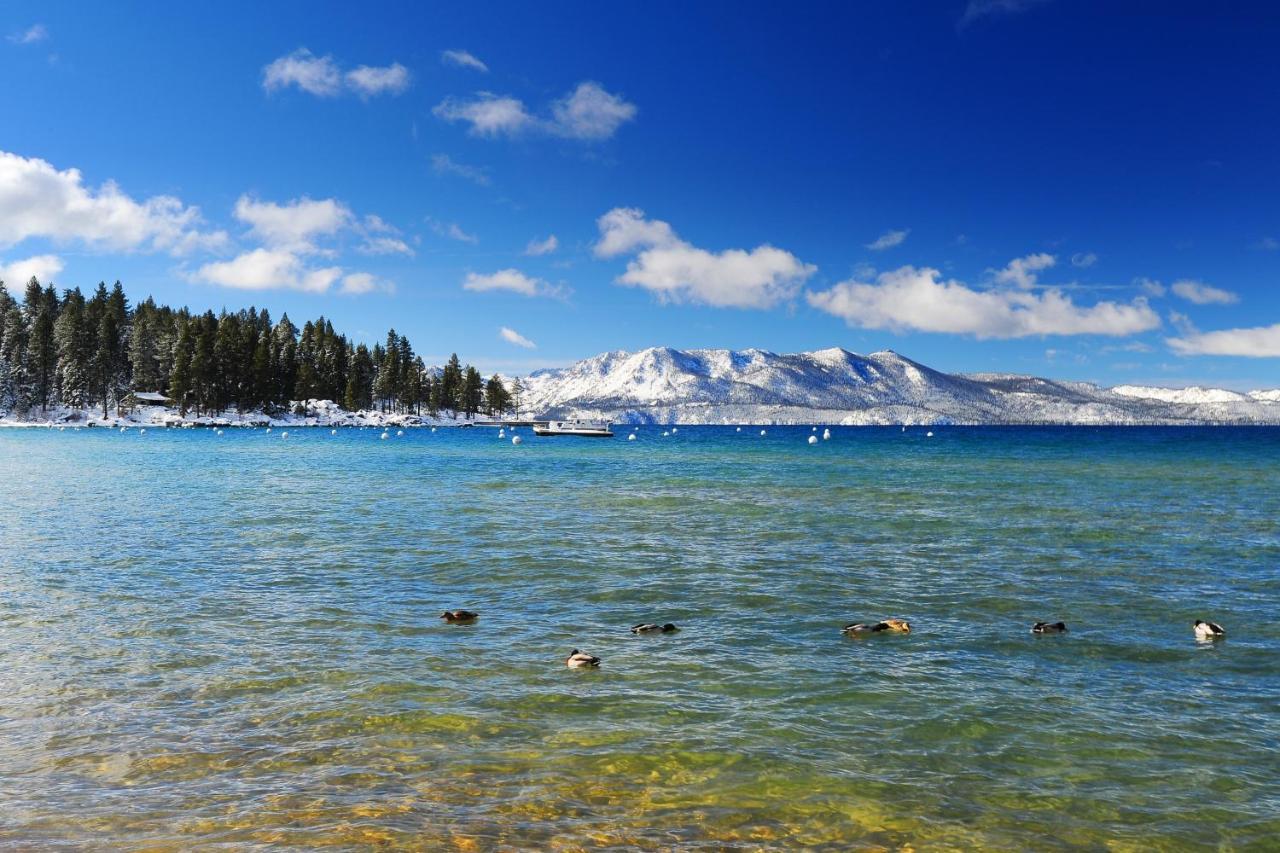 Villa West Manor South Lake Tahoe Exterior foto